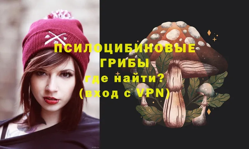 Галлюциногенные грибы MAGIC MUSHROOMS  Амурск 